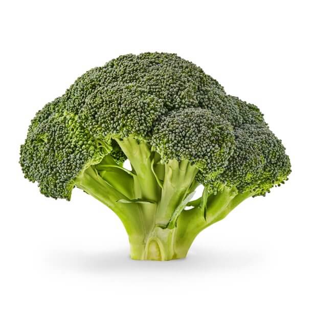 Organic green fresh broccoli